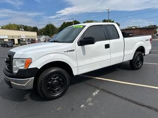 2014 Ford F-150 for sale in Jackson MI