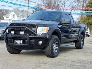 2011 Ford F-150 for sale in Tuscola IL