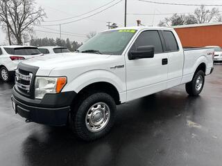 2013 Ford F-150 for sale in Jackson MI