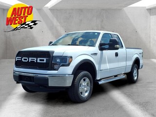 2013 Ford F-150 for sale in Grand Rapids MI
