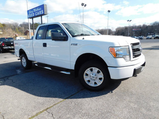 2013 Ford F-150 for sale in Clarksville TN