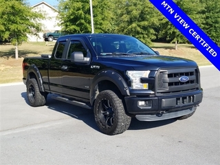 2016 Ford F-150 for sale in Ringold GA