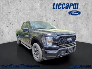 2023 Ford F-150 for sale in Watchung NJ
