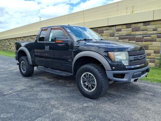 2010 Ford F-150 for sale in Indianapolis, IN