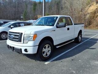 2010 Ford F-150 for sale in Coeburn VA