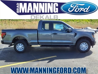 2024 Ford F-150 for sale in Des Plaines IL