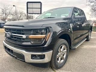 2025 Ford F-150 for sale in Louisville KY