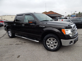 2013 Ford F-150 for sale in Clarksville TN