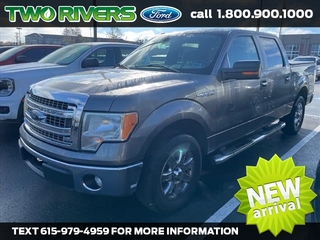 2014 Ford F-150 for sale in Mt. Juliet TN