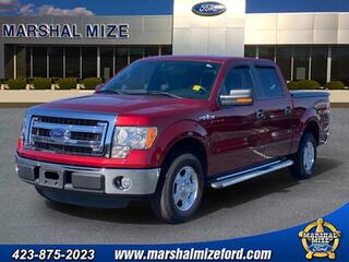 2013 Ford F-150 for sale in Hixson TN