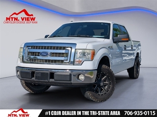 2013 Ford F-150 for sale in Ringold GA