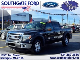 2013 Ford F-150 for sale in Southgate MI