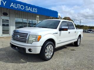 2011 Ford F-150 for sale in Dickson TN