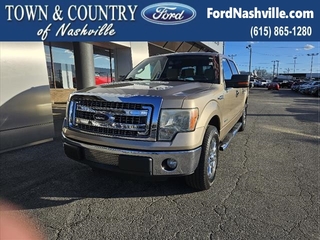 2013 Ford F-150 for sale in Brentwood TN