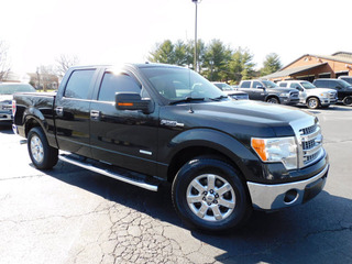 2014 Ford F-150 for sale in Clarksville TN