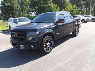 2013 Ford F-150 for sale in Malvern AR