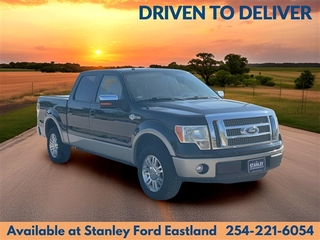2010 Ford F-150 for sale in Dallas TX