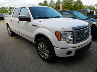 2010 Ford F-150 for sale in Clarksville TN