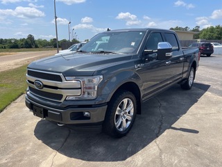 2019 Ford F-150 for sale in Dothan AL
