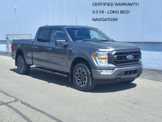 2022 Ford F-150 for sale in Monroe MI