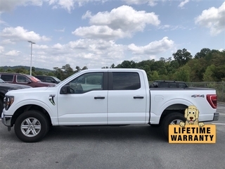 2023 Ford F-150 for sale in Chattanooga TN