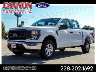 2023 Ford F-150 for sale in Orange TX