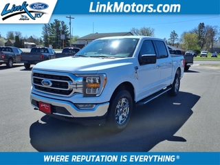2022 Ford F-150 for sale in Minong WI