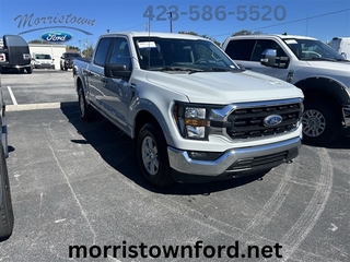 2023 Ford F-150 for sale in Morristown TN