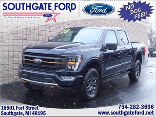 2023 Ford F-150 for sale in Southgate MI