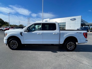 2023 Ford F-150 for sale in Dandridge TN