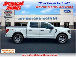 2023 Ford F-150 for sale in Hutchinson MN
