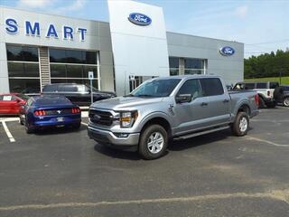 2023 Ford F-150 for sale in Malvern AR