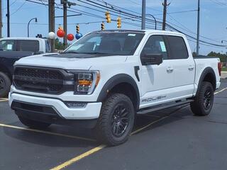 2023 Ford F-150 for sale in Woodhaven MI