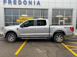 2021 Ford F-150 for sale in Fredonia NY