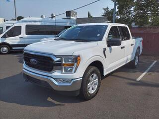 2021 Ford F-150 for sale in Hayward WI