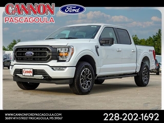 2023 Ford F-150 for sale in Orange TX