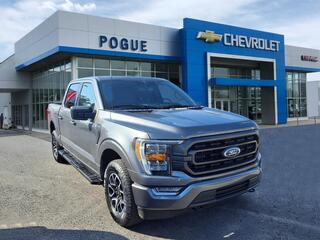 2023 Ford F-150 for sale in Powderly KY
