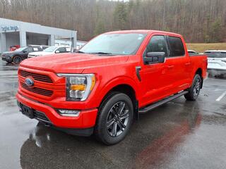 2023 Ford F-150 for sale in Coeburn VA