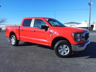 2023 Ford F-150 for sale in Shelbyville IN