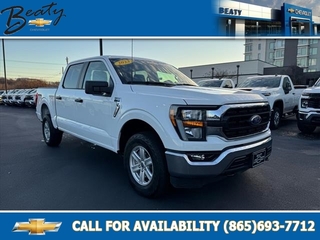 2023 Ford F-150 for sale in Knoxville TN