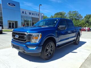 2023 Ford F-150 for sale in Manchester TN