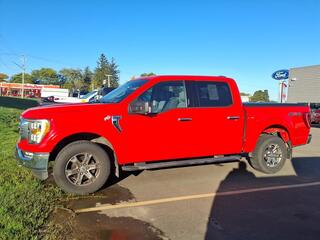 2021 Ford F-150 for sale in Fredonia NY