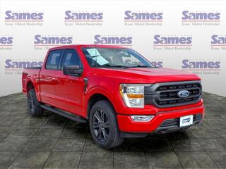 2022 Ford F-150 for sale in Greenville SC