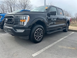 2023 Ford F-150 for sale in Greeneville TN