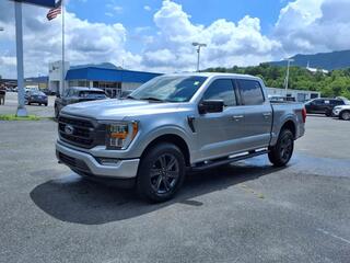 2023 Ford F-150 for sale in Pounding Mill VA
