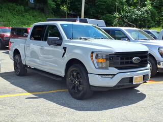 2023 Ford F-150 for sale in Butler NJ