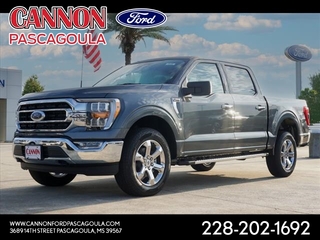 2023 Ford F-150 for sale in Orange TX