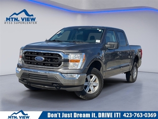 2022 Ford F-150 for sale in Chattanooga TN