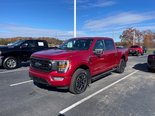 2022 Ford F-150 for sale in Dandridge TN