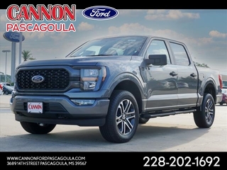 2023 Ford F-150 for sale in Orange TX